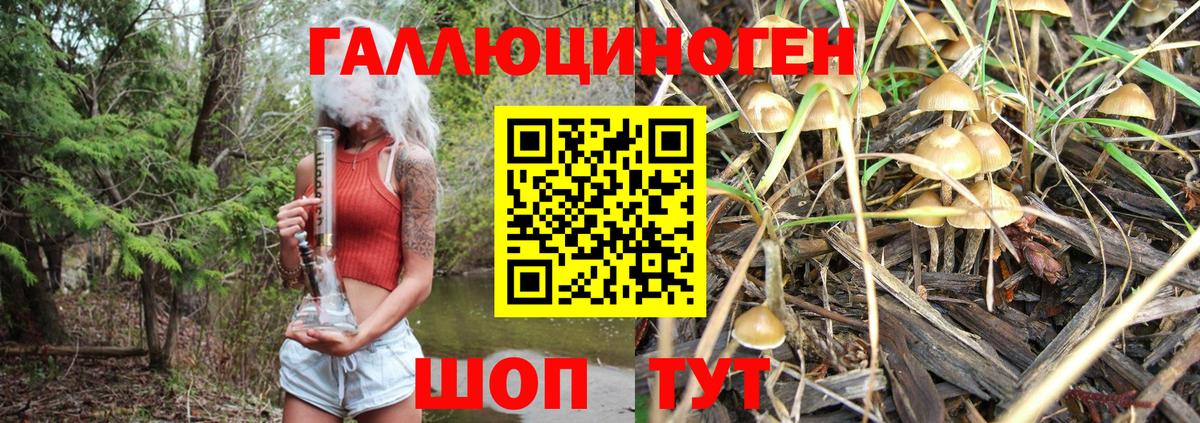 Галлюциногенные грибы прущие грибы  Вход с VPN  Галлюциногенные грибы Magic Shrooms  даркнет сайт  Ногинск 